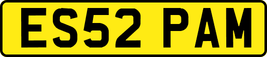 ES52PAM