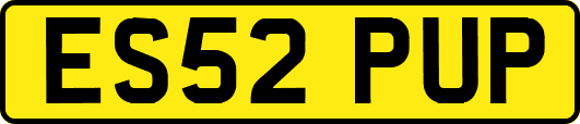 ES52PUP