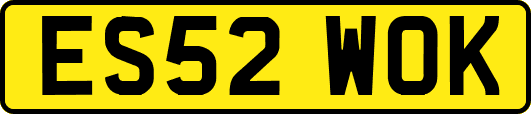 ES52WOK
