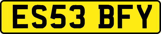 ES53BFY