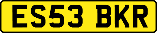 ES53BKR