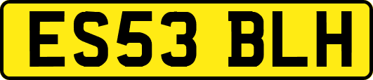 ES53BLH