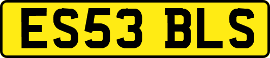 ES53BLS