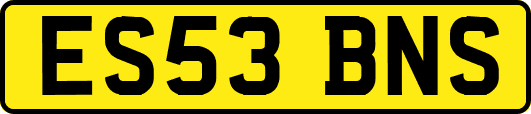 ES53BNS