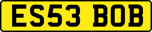 ES53BOB