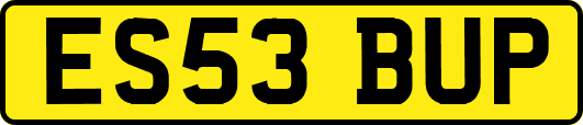 ES53BUP