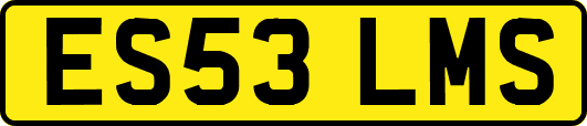 ES53LMS