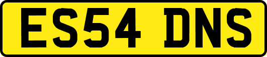 ES54DNS