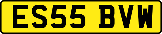 ES55BVW