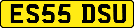 ES55DSU