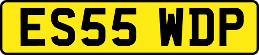 ES55WDP