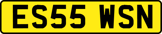 ES55WSN