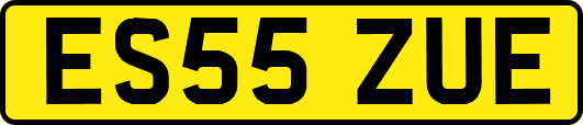 ES55ZUE