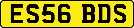 ES56BDS