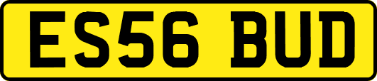ES56BUD