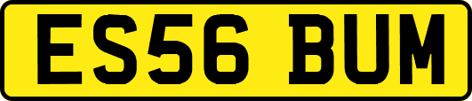 ES56BUM