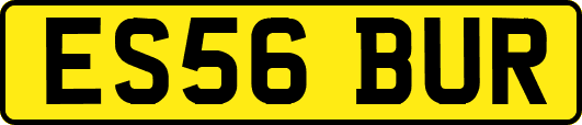 ES56BUR