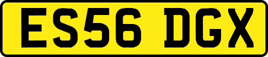 ES56DGX