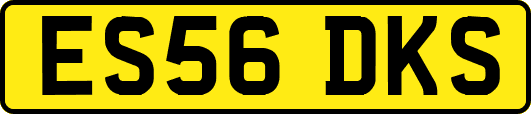 ES56DKS