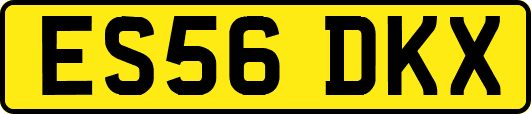 ES56DKX