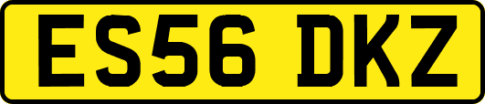 ES56DKZ