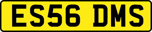 ES56DMS