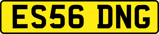 ES56DNG