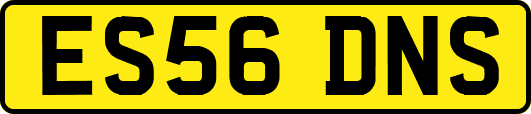 ES56DNS
