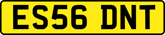 ES56DNT