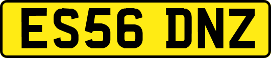 ES56DNZ