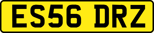ES56DRZ