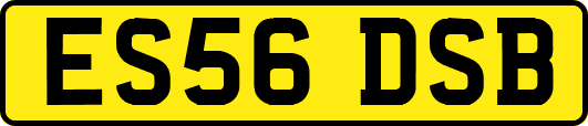 ES56DSB