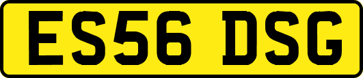 ES56DSG