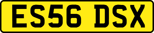 ES56DSX