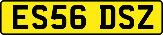 ES56DSZ