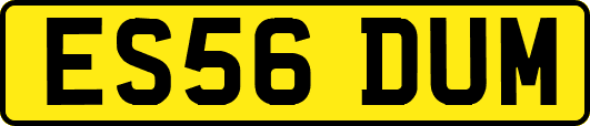 ES56DUM