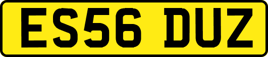 ES56DUZ