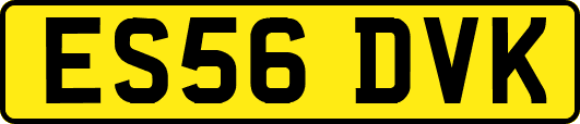 ES56DVK