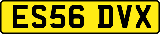ES56DVX