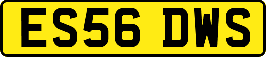 ES56DWS