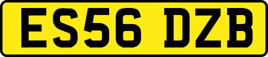 ES56DZB