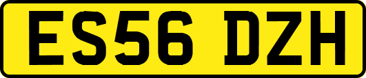 ES56DZH