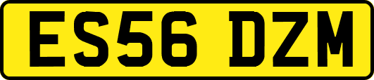 ES56DZM