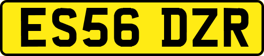 ES56DZR