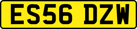 ES56DZW