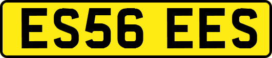 ES56EES