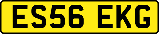 ES56EKG