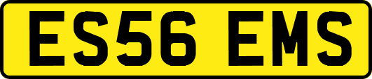 ES56EMS