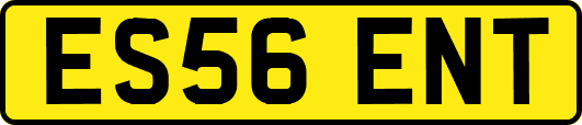 ES56ENT