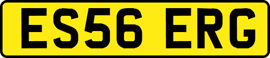 ES56ERG